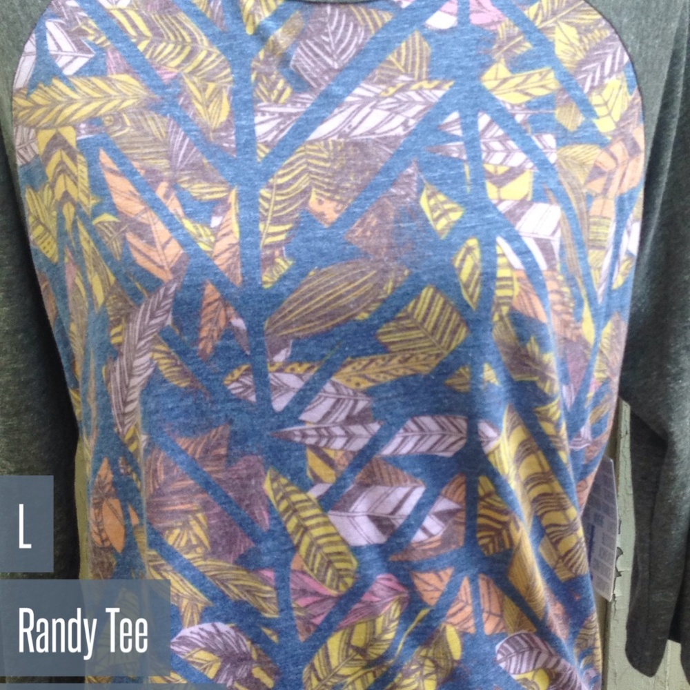 LuLaRoe Randy Tees M-L